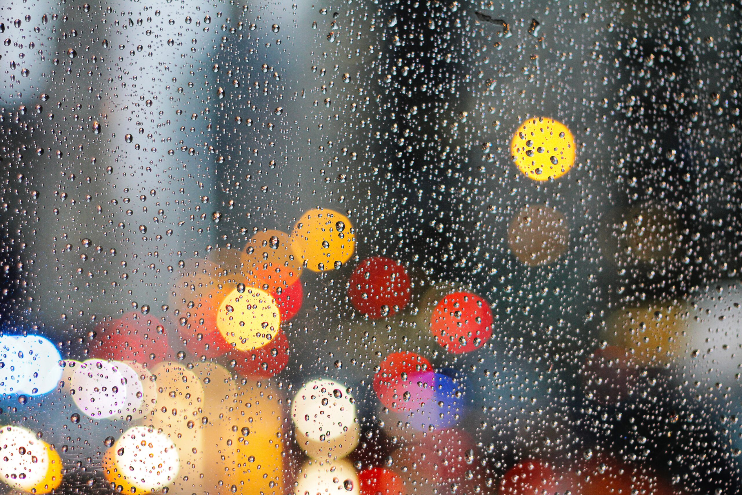 Catching the bus in downtown Chicago on a rainy day.